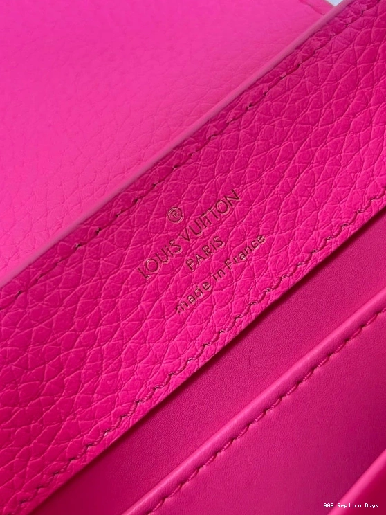 Aaa replica bags MINI VUITTON CAPUCINES LOUIS 0708
